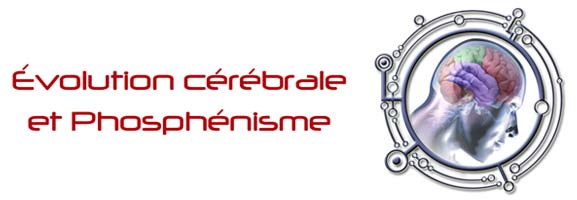Évolution cérébrale et Phosphénisme